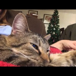 Meet your Posher, Vickie